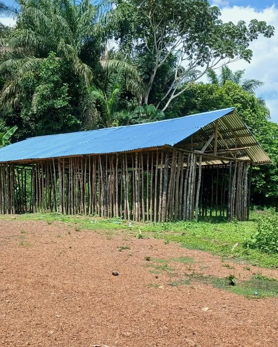 A newly framed church in Liberia — round pole timbers, no walls yet — standing under a new blue-grey zinc roof on red ground, forest behind it.
