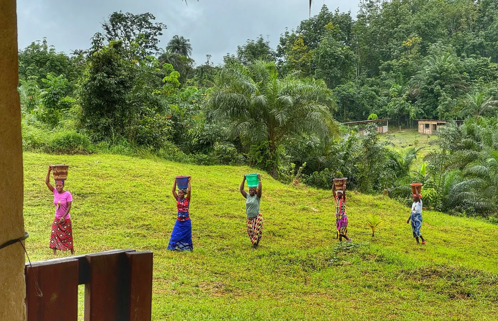 Five women and a child crossing the mown grass of the Hope Center, each balancing a basin or a woven bowl on their head, with forest and oil palms behind them and a building at the edge of the clearing.